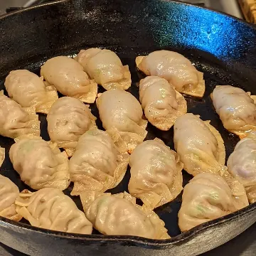 Gyoza in a cast-iron skillet
